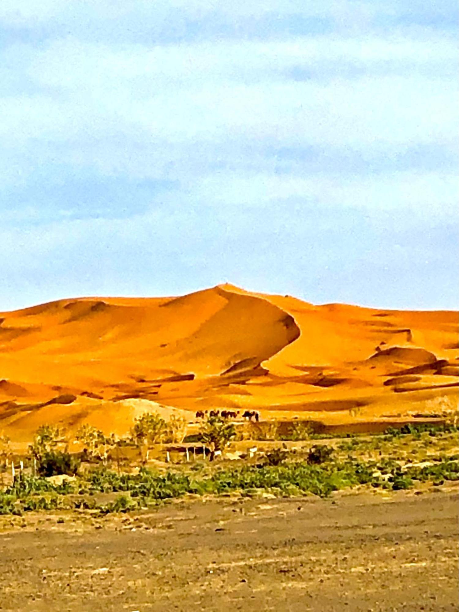 Bivouac La Fibule Des Dunes เมอร์ซูกา ภายนอก รูปภาพ